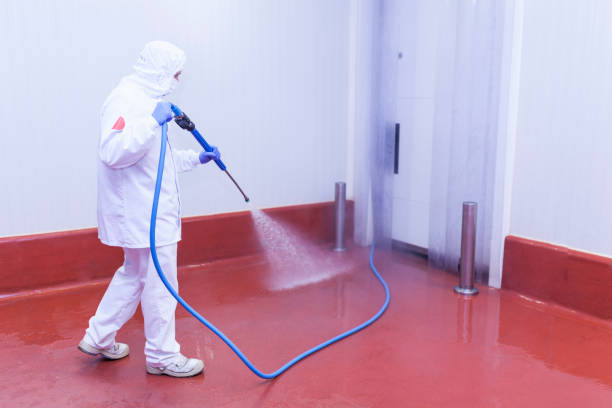 Paint Preparation in Concord, MO